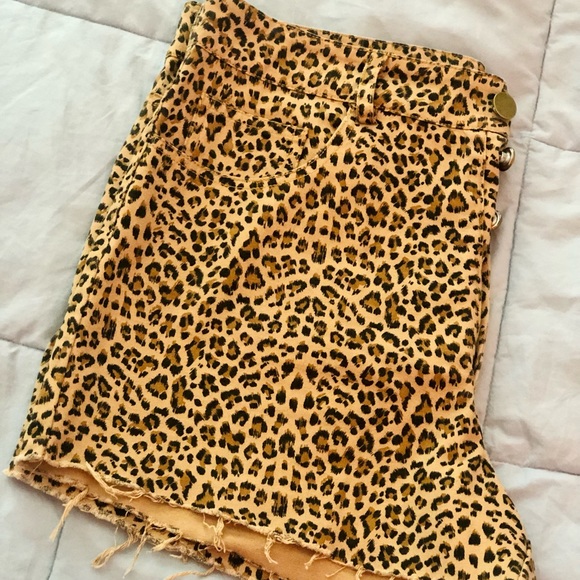 Spring Cleaning and Moving! Declutter time! - Picture 4 of 4